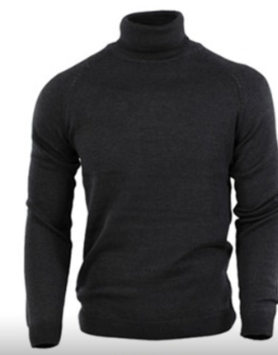 Long sleeve turtle neck