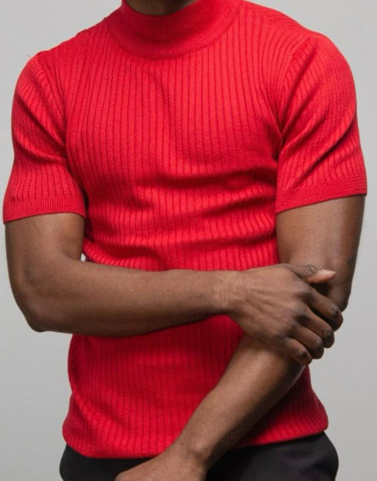 Short sleeve knitted turtle neck